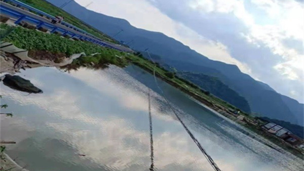 奇异果官方网站|奇异果（中国）欣网|欣网通信