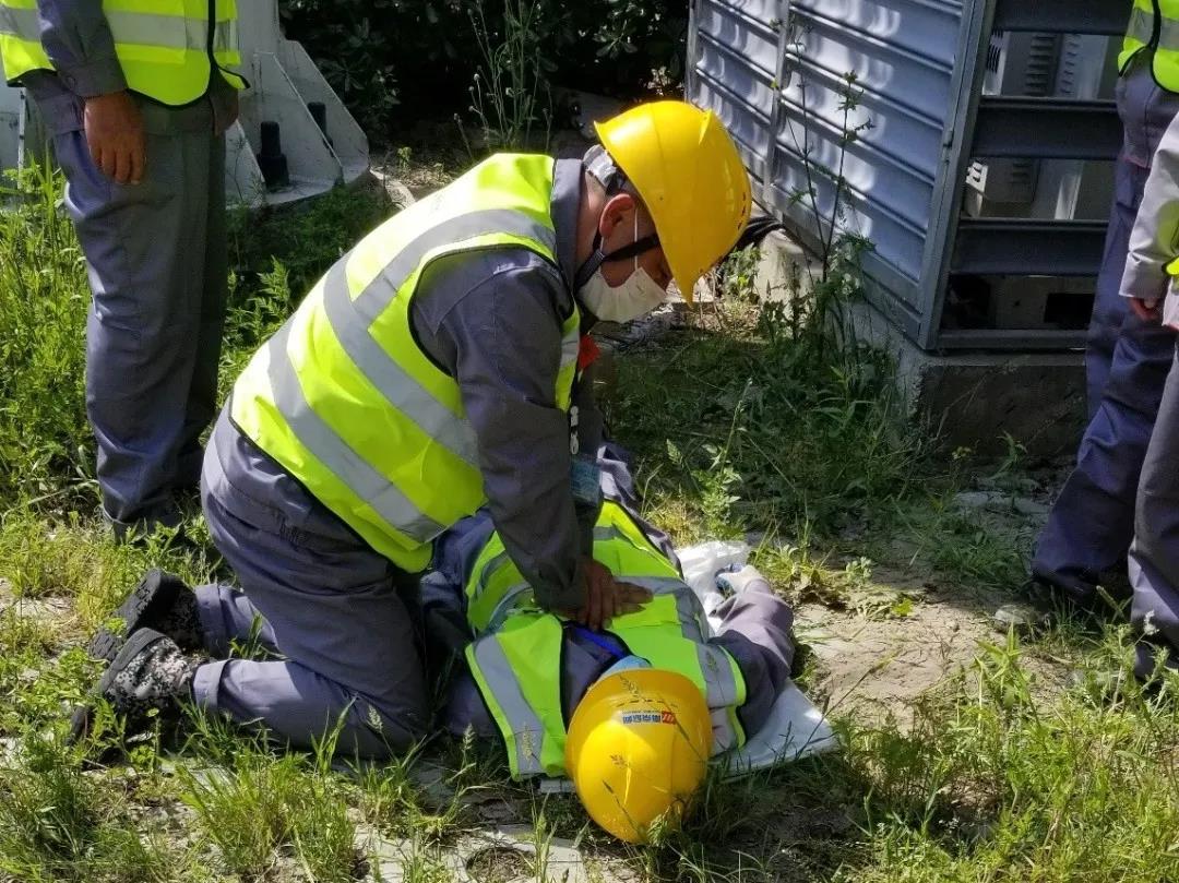 奇异果官方网站|奇异果（中国）欣网|欣网通信