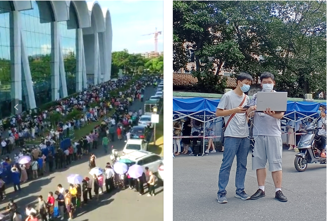 奇异果官方网站|奇异果（中国）欣网|欣网通信