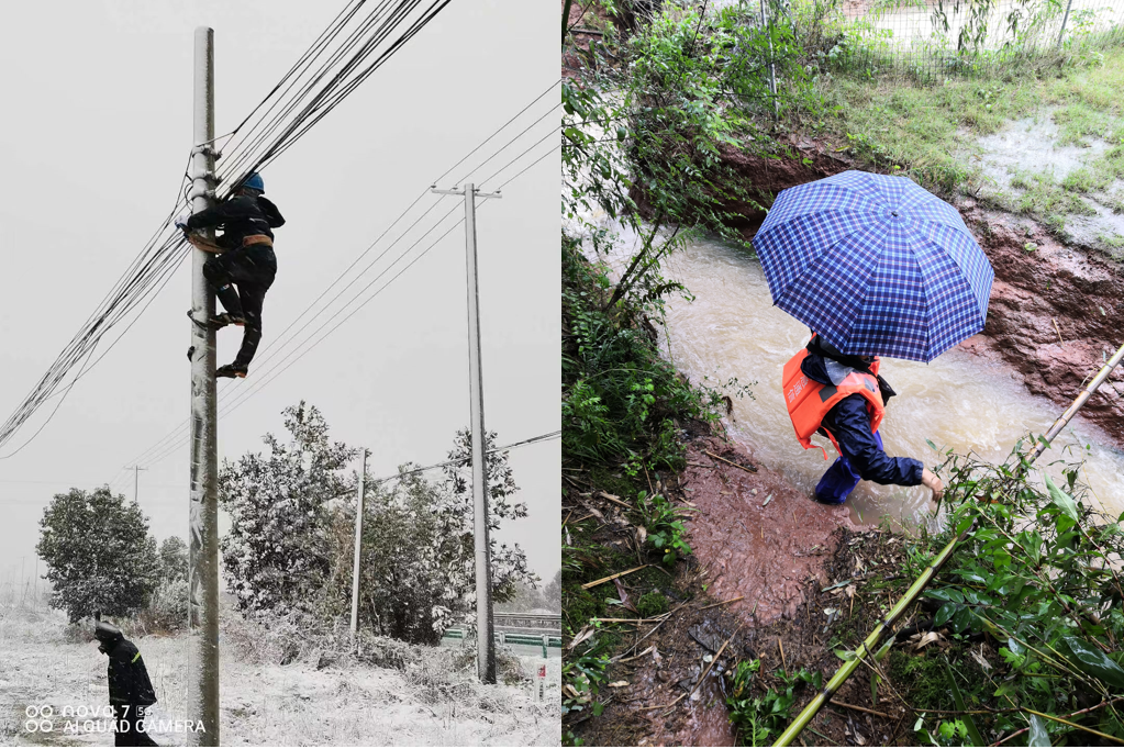 奇异果官方网站|奇异果（中国）欣网|欣网通信