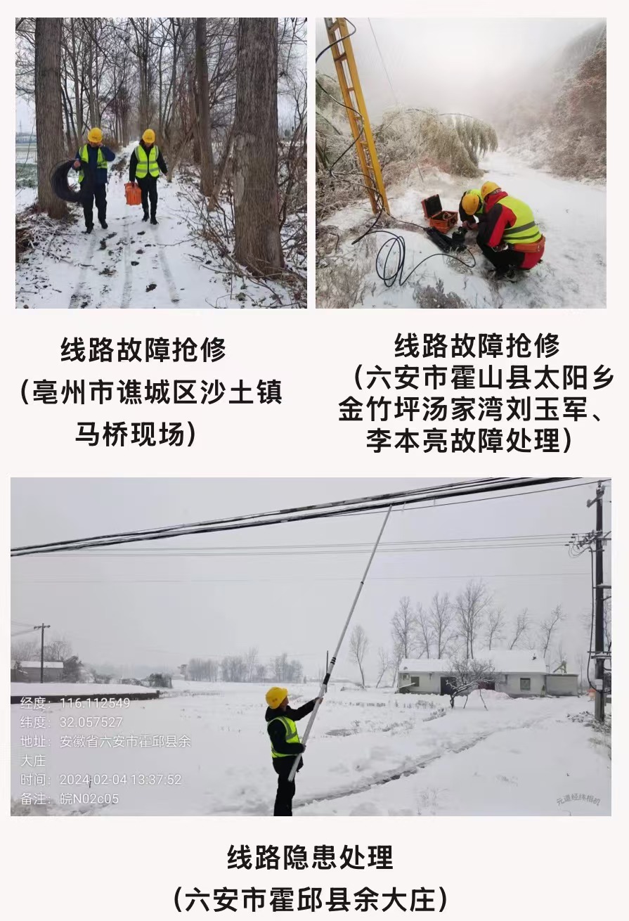 奇异果官方网站|奇异果(中国)欣网|欣网通信 奇异果官方网站|奇异果(中国)欣网|欣网通信