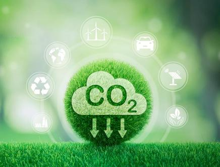 奇异果官方网站|奇异果(中国)欣网|欣网通信 奇异果官方网站|奇异果(中国)欣网|欣网通信