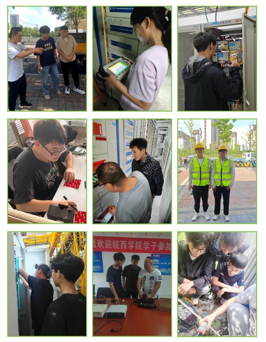 奇异果官方网站|奇异果（中国）欣网|欣网通信