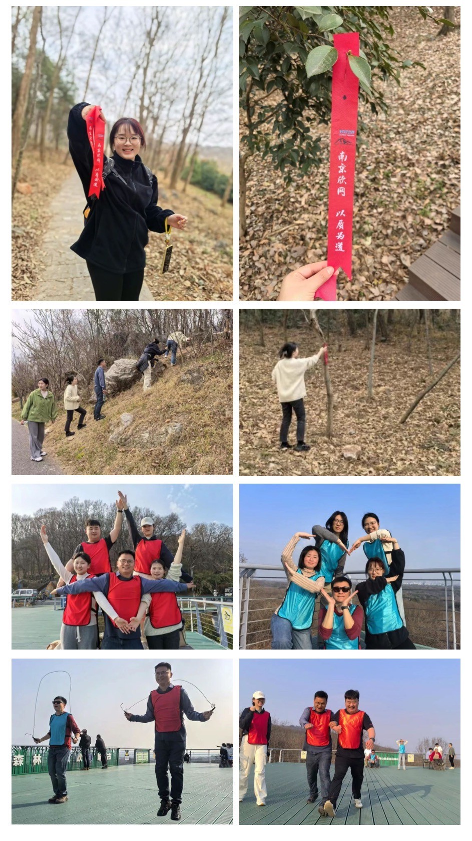 奇异果官方网站|奇异果（中国）欣网|欣网通信