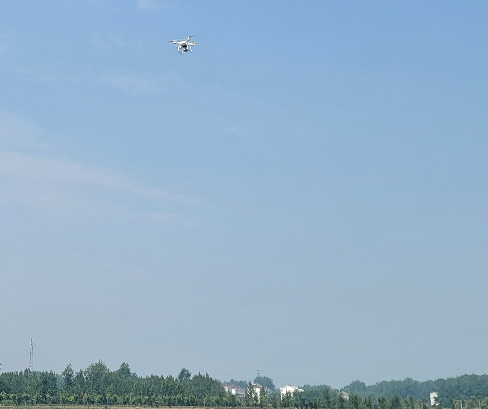 奇异果官方网站|奇异果（中国）欣网|欣网通信